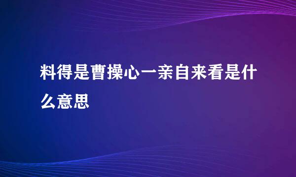 料得是曹操心一亲自来看是什么意思