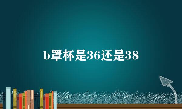 b罩杯是36还是38