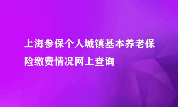 上海参保个人城镇基本养老保险缴费情况网上查询