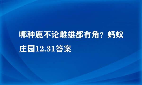 哪种鹿不论雌雄都有角？蚂蚁庄园12.31答案