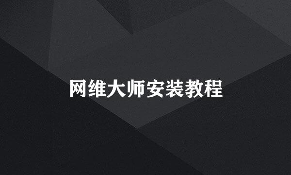 网维大师安装教程