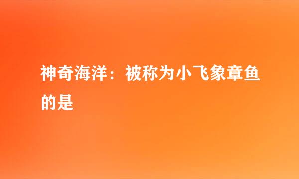 神奇海洋：被称为小飞象章鱼的是