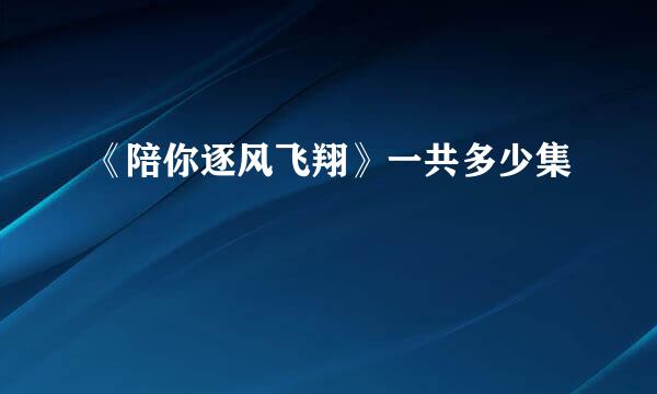 《陪你逐风飞翔》一共多少集