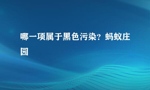 哪一项属于黑色污染？蚂蚁庄园