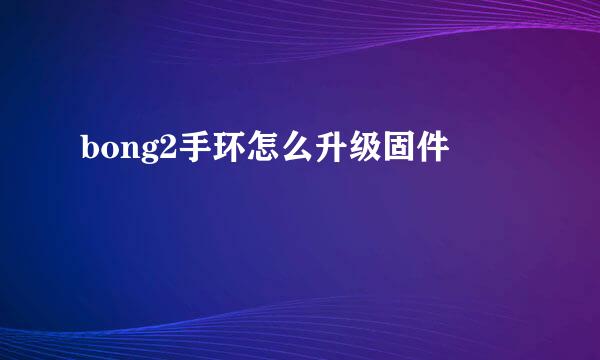 bong2手环怎么升级固件