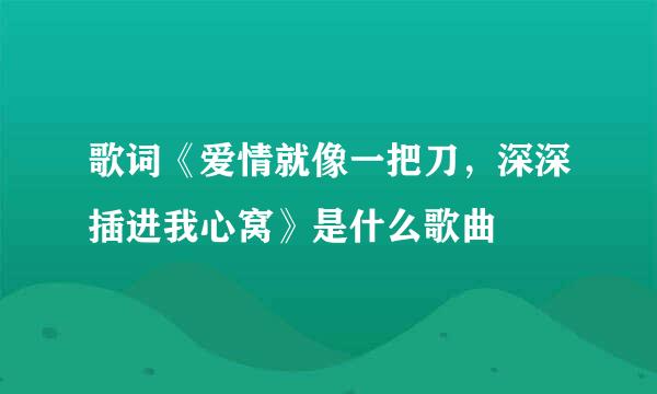 歌词《爱情就像一把刀，深深插进我心窝》是什么歌曲