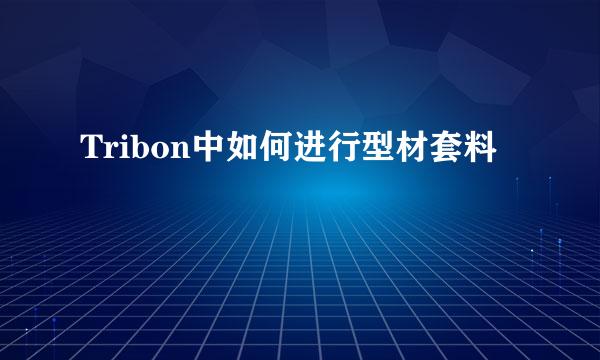 Tribon中如何进行型材套料