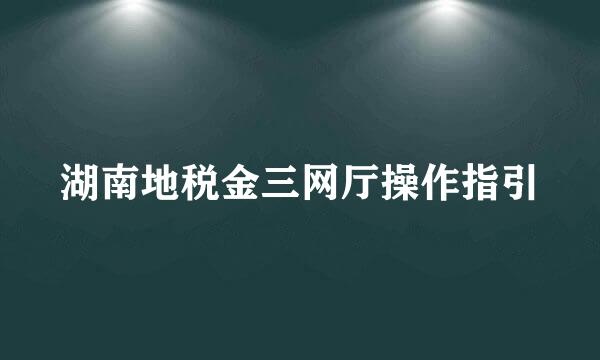 湖南地税金三网厅操作指引