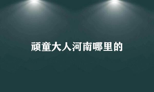 顽童大人河南哪里的