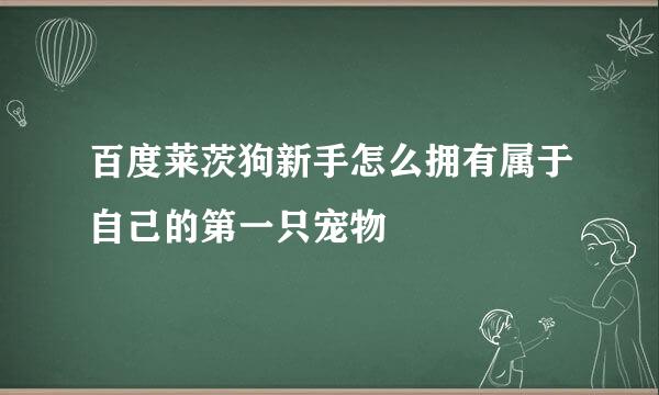 百度莱茨狗新手怎么拥有属于自己的第一只宠物