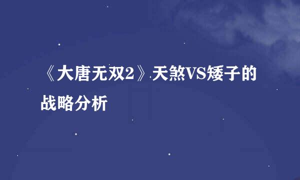 《大唐无双2》天煞VS矮子的战略分析