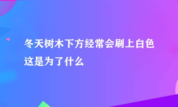 冬天树木下方经常会刷上白色这是为了什么