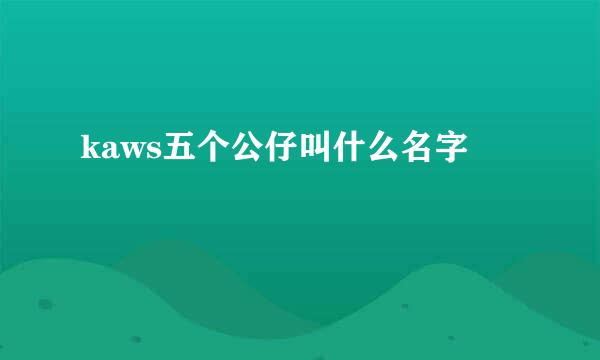 kaws五个公仔叫什么名字