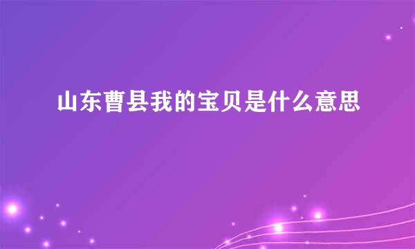 山东曹县我的宝贝是什么意思