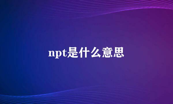 npt是什么意思