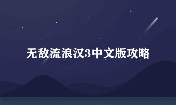 无敌流浪汉3中文版攻略