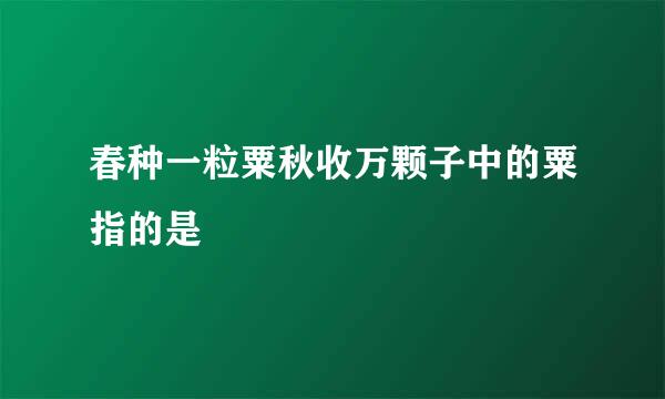 春种一粒粟秋收万颗子中的粟指的是