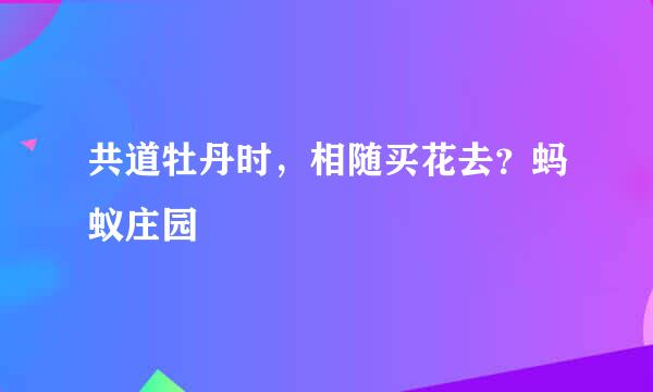 共道牡丹时，相随买花去？蚂蚁庄园