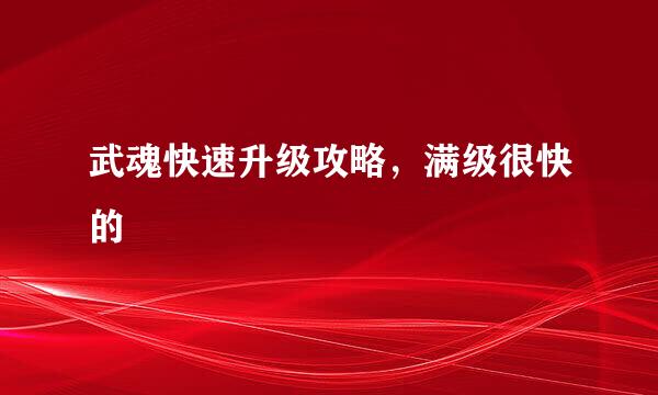 武魂快速升级攻略，满级很快的