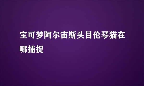 宝可梦阿尔宙斯头目伦琴猫在哪捕捉