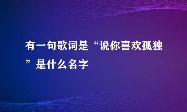 有一句歌词是“说你喜欢孤独”是什么名字