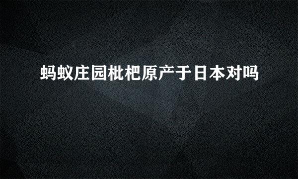 蚂蚁庄园枇杷原产于日本对吗