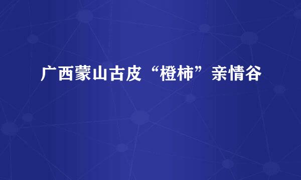 广西蒙山古皮“橙柿”亲情谷