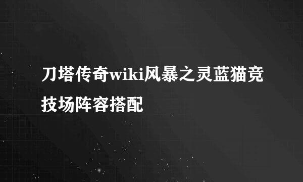 刀塔传奇wiki风暴之灵蓝猫竞技场阵容搭配