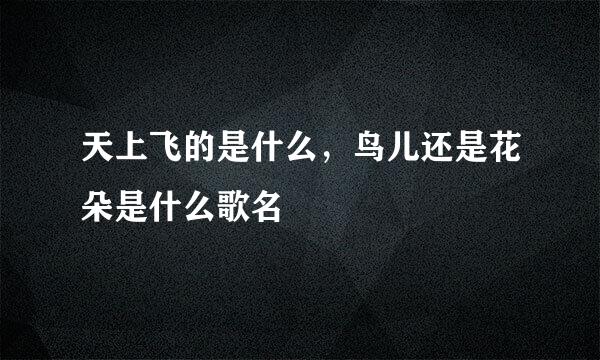 天上飞的是什么，鸟儿还是花朵是什么歌名