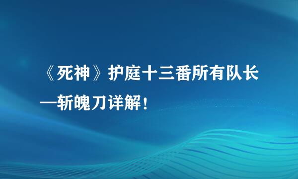 《死神》护庭十三番所有队长—斩魄刀详解！