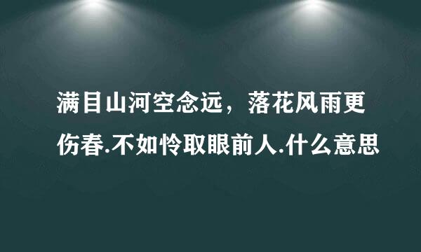 满目山河空念远，落花风雨更伤春.不如怜取眼前人.什么意思