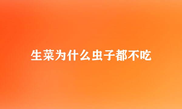 生菜为什么虫子都不吃