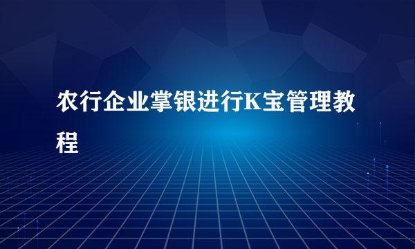 农行企业掌银进行K宝管理教程