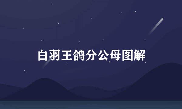 白羽王鸽分公母图解