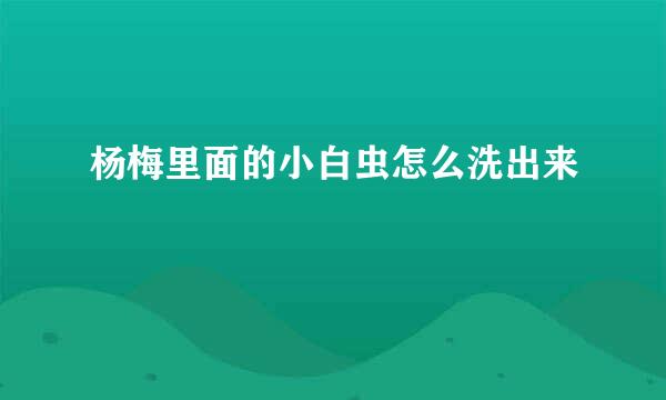 杨梅里面的小白虫怎么洗出来