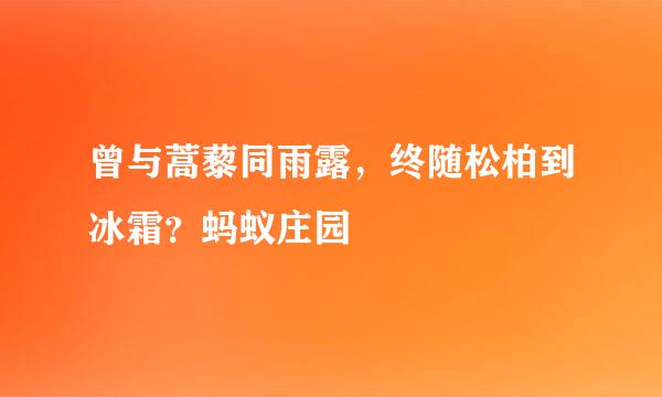 曾与蒿藜同雨露，终随松柏到冰霜？蚂蚁庄园