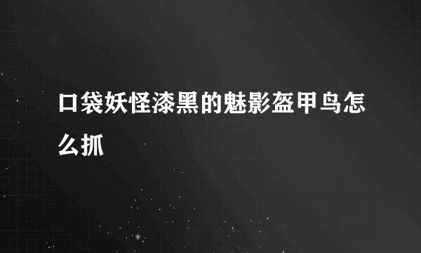 口袋妖怪漆黑的魅影盔甲鸟怎么抓