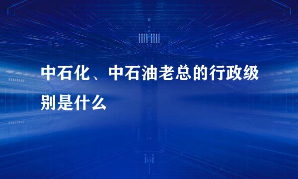 中石化、中石油老总的行政级别是什么