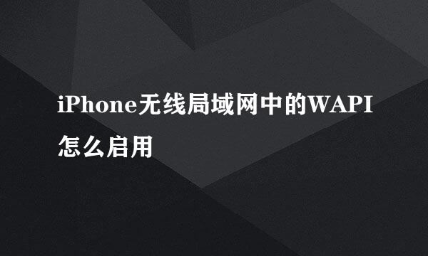 iPhone无线局域网中的WAPI怎么启用