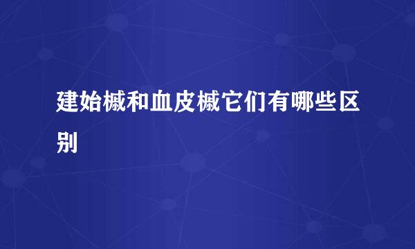 建始槭和血皮槭它们有哪些区别