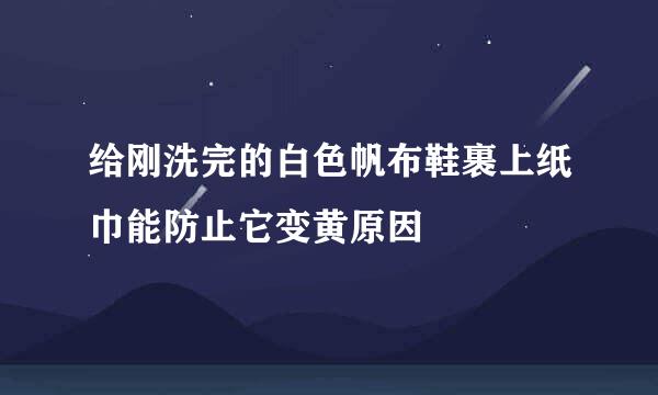 给刚洗完的白色帆布鞋裹上纸巾能防止它变黄原因