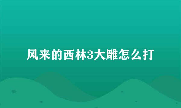 风来的西林3大雕怎么打