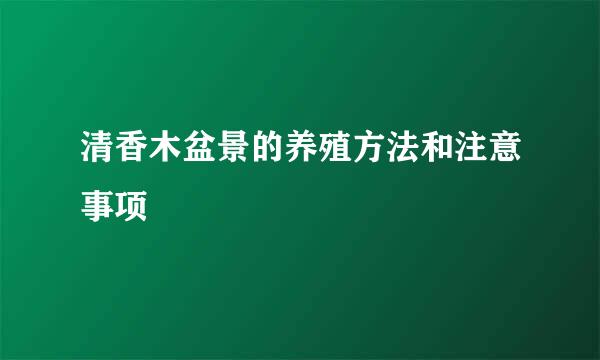 清香木盆景的养殖方法和注意事项