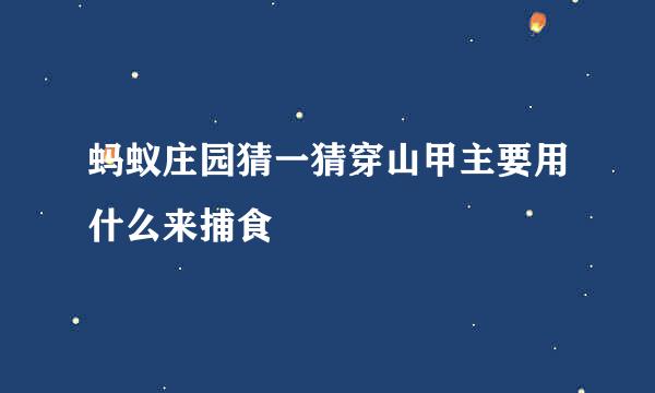 蚂蚁庄园猜一猜穿山甲主要用什么来捕食