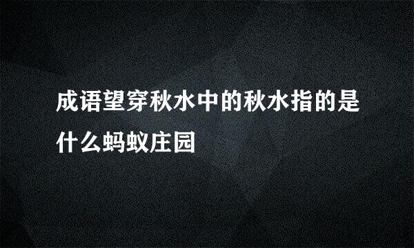 成语望穿秋水中的秋水指的是什么蚂蚁庄园