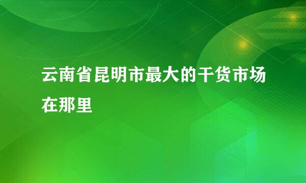 云南省昆明市最大的干货市场在那里