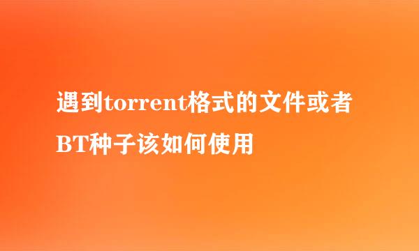 遇到torrent格式的文件或者BT种子该如何使用