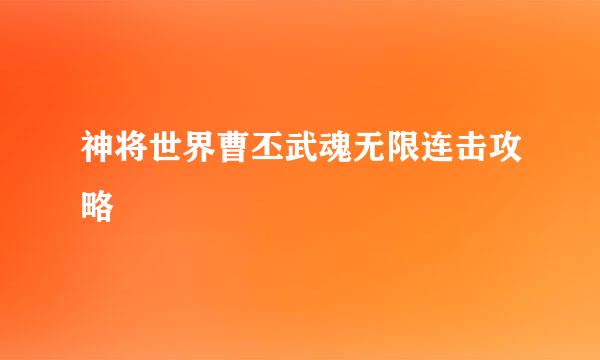 神将世界曹丕武魂无限连击攻略