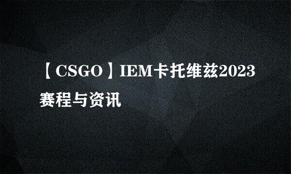 【CSGO】IEM卡托维兹2023赛程与资讯