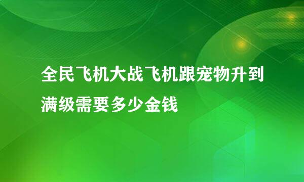 全民飞机大战飞机跟宠物升到满级需要多少金钱